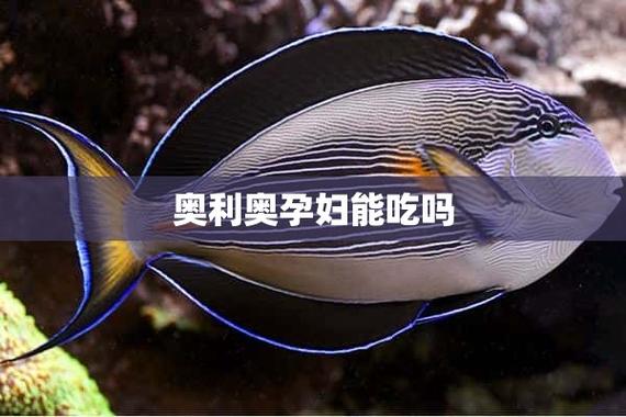 龙利鱼孕妇可以吃吗缩略图