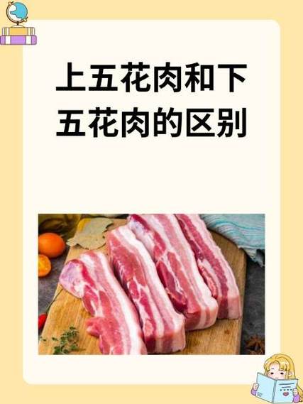 猪的上五花肉好还是下五花肉好缩略图