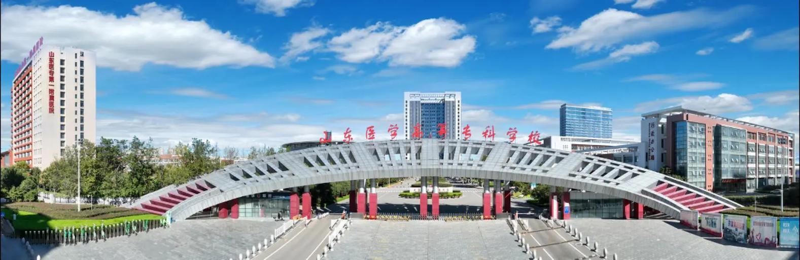 山东最好的医学专科游戏截图