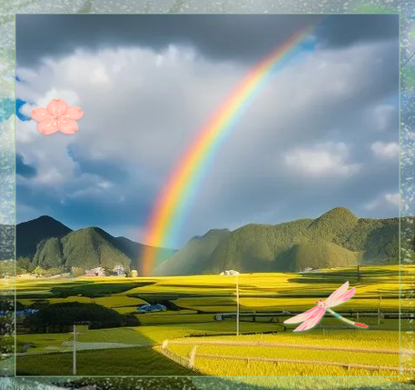 彩虹是什么意思游戏截图