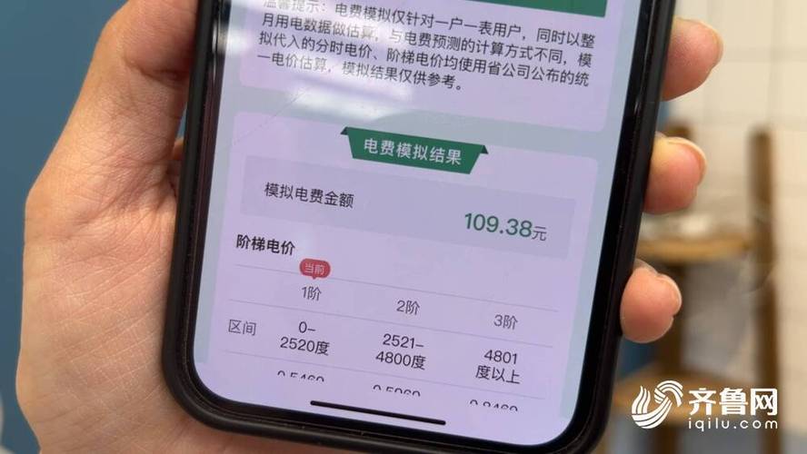 国网山东电力交电费缩略图