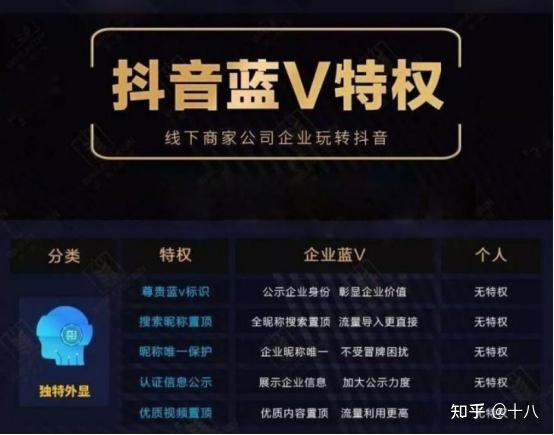 蓝v是干什么用的缩略图