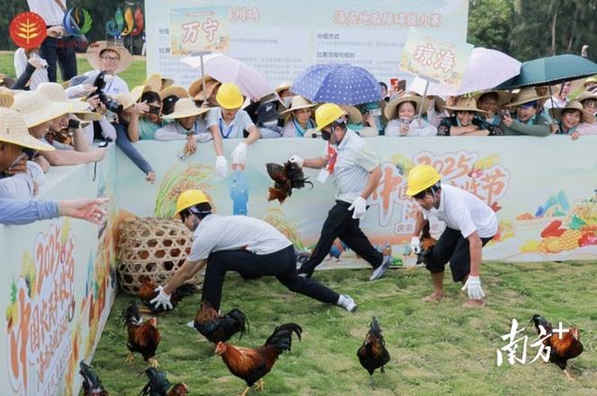丰收农游戏缩略图