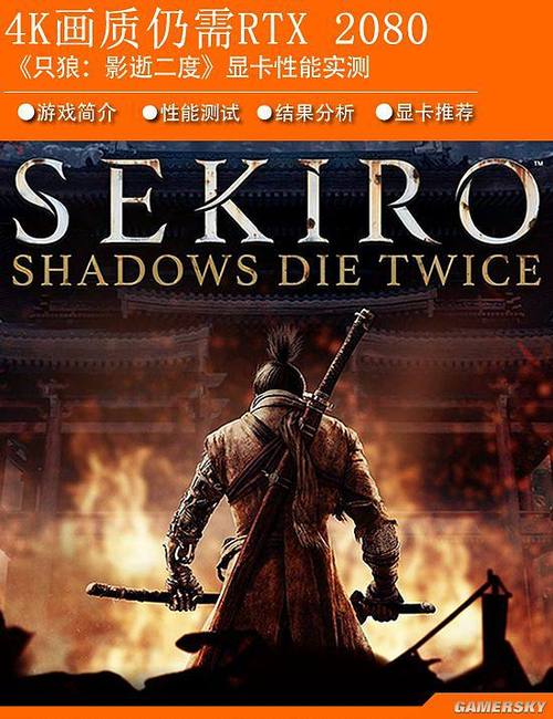 ps4折腾版只狼PKG游戏截图