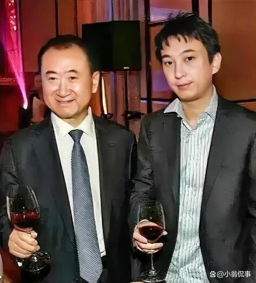 王健林的子孙是谁缩略图