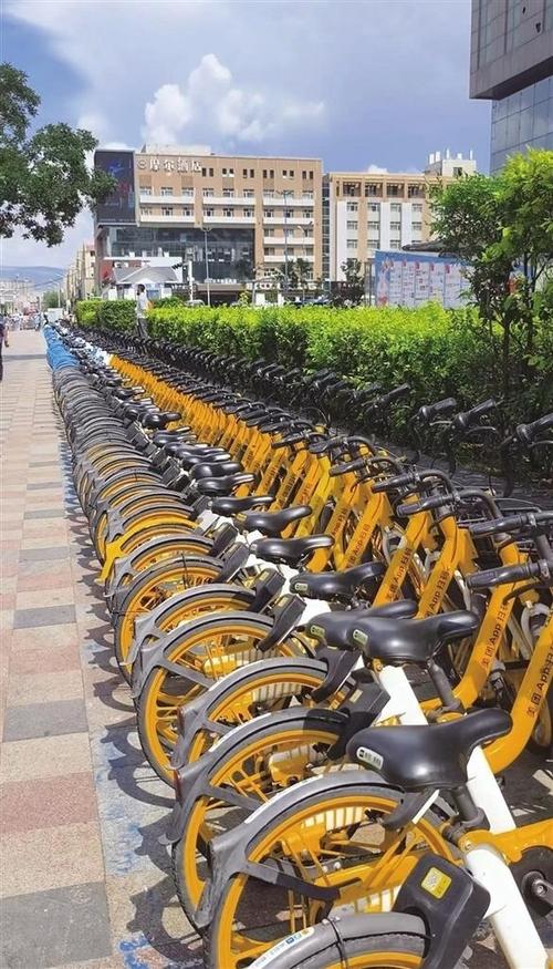 单车共享缩略图