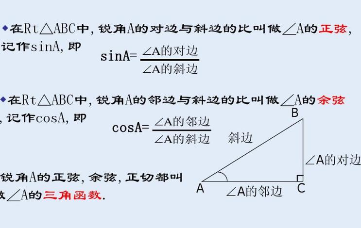 比邻的比游戏截图