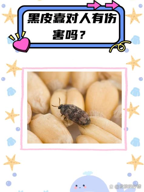 我的世界蠹虫寄生女生肚子里缩略图
