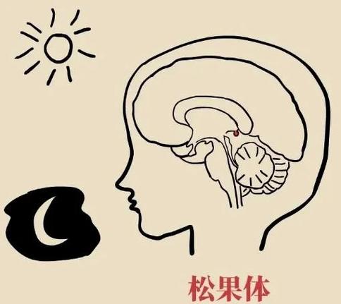 手机休眠时间怎么设置缩略图