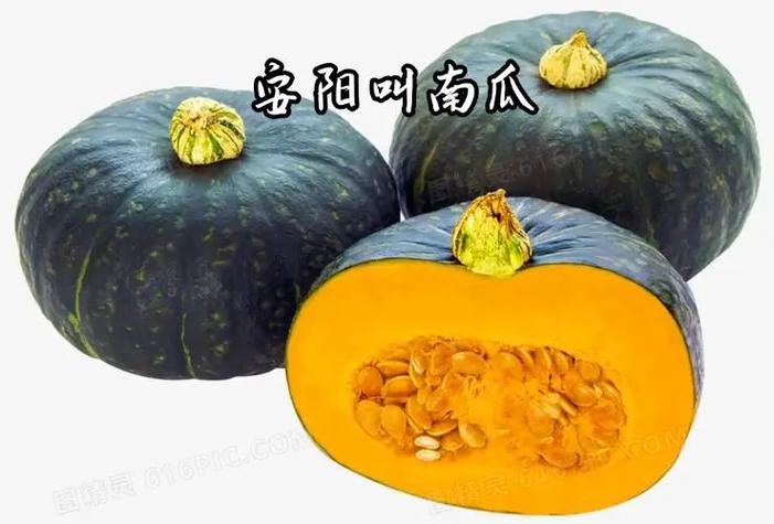 南瓜和北瓜是一个东西吗缩略图