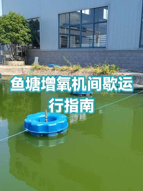 鱼塘增氧土方法缩略图