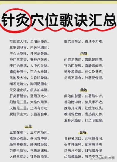 针灸四总歌诀游戏截图