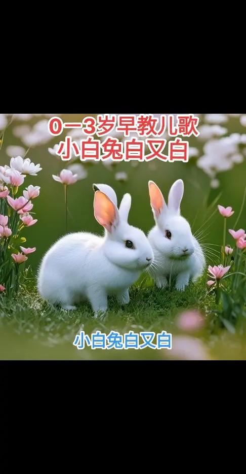 小白兔白又白儿歌缩略图