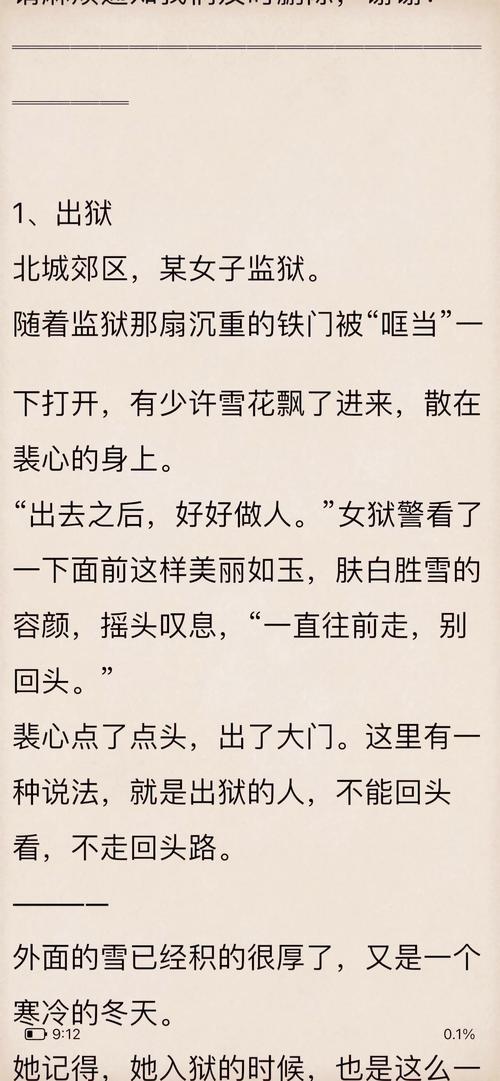 林婉晴小说游戏截图