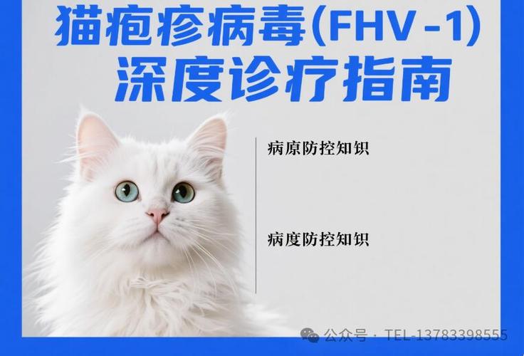 fhv是猫的什么疾病缩略图