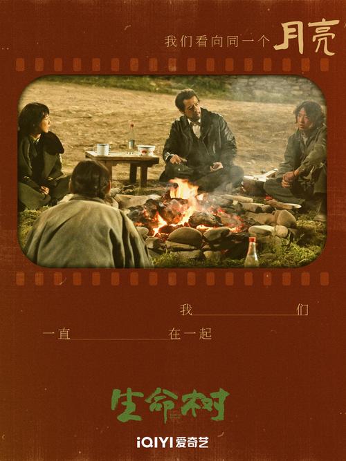 喜鹊树电影免费观看缩略图
