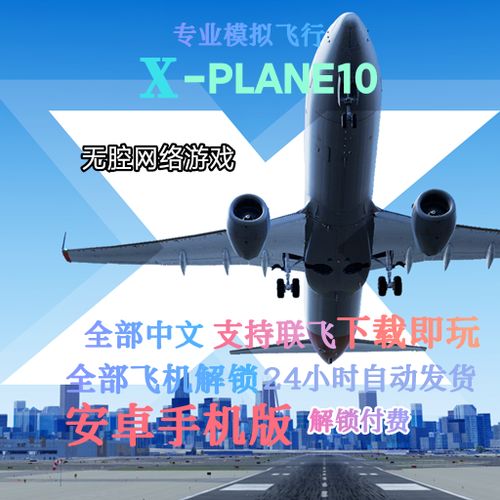 模拟飞行10安卓缩略图
