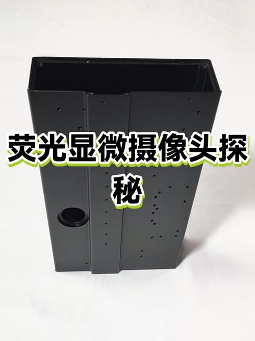 苹果11pro是三个摄像头吗游戏截图