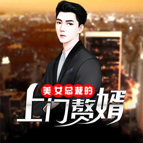 美女总裁的入赘狂婿缩略图