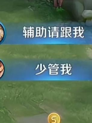 王者里面辅助有哪些缩略图