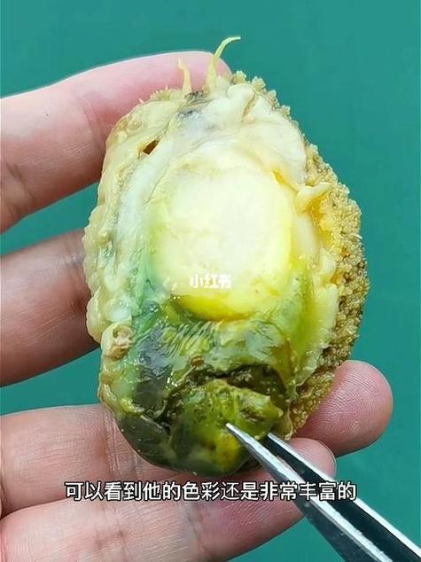 鲍鱼的肉发绿怎么回事游戏截图