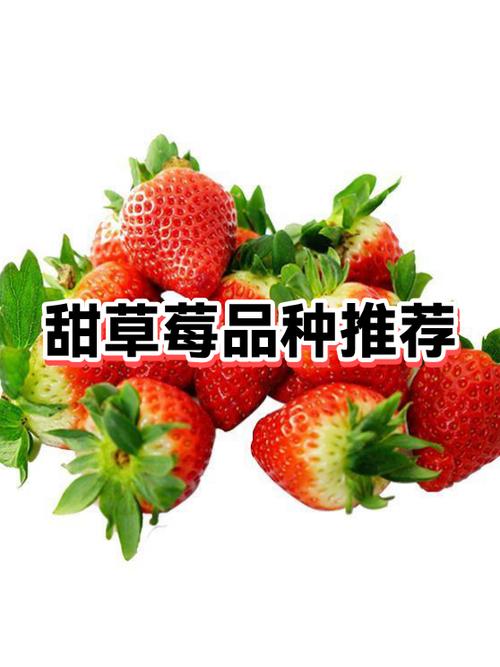 什么草莓品种结果又多又甜缩略图
