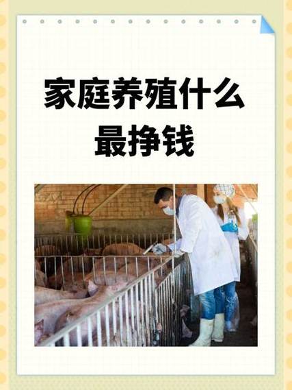 农村喂什么最挣钱缩略图
