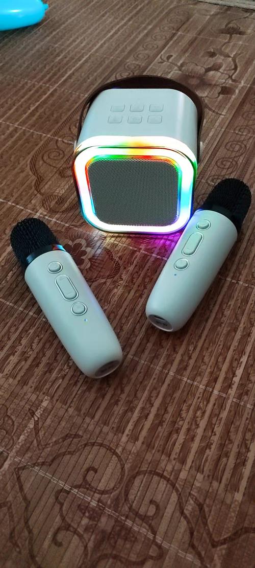 蓝牙音响可以唱歌吗游戏截图