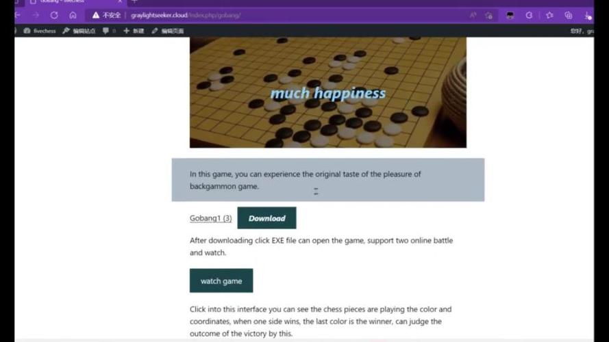 五子棋在线辅助网页缩略图