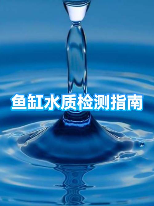鱼缸水变浑浊怎么弄清缩略图