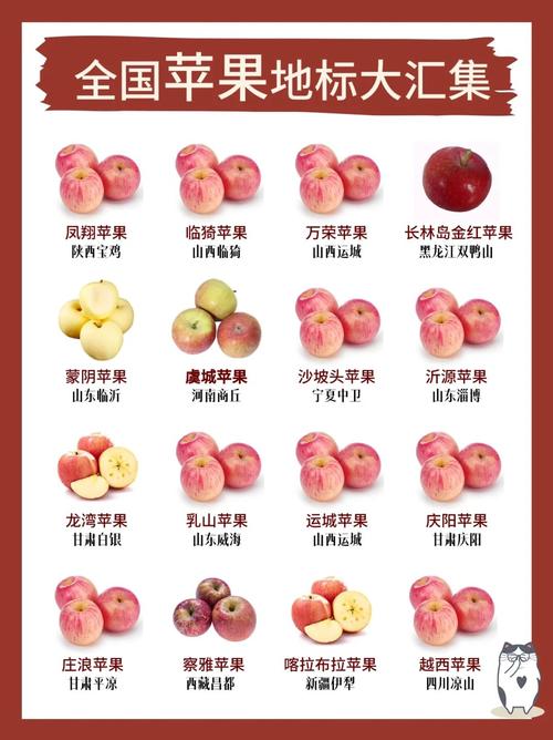 iphone哪里产地最好缩略图