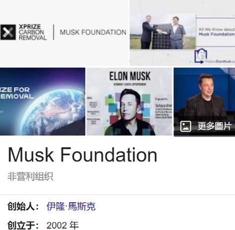 马斯克给中国捐多少钱缩略图