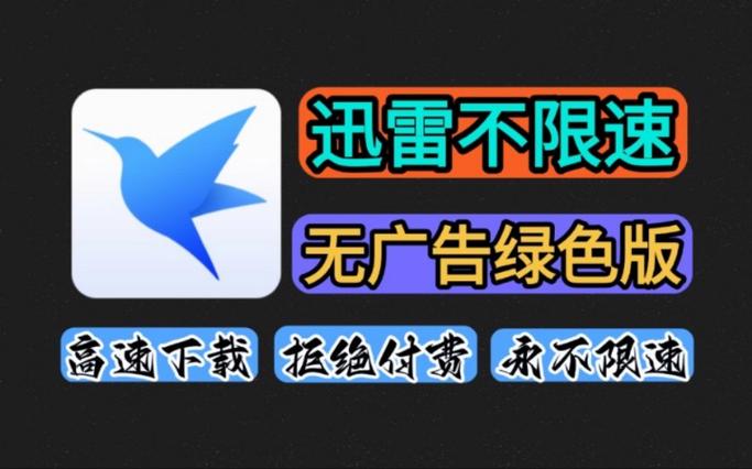 迅雷广告加速版本游戏截图