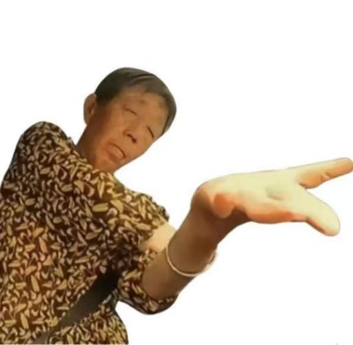 喂大妈表情包游戏截图