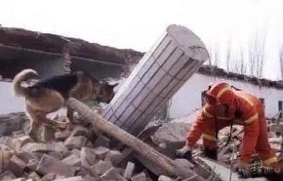 苹果11放视频没有声音怎么回事缩略图