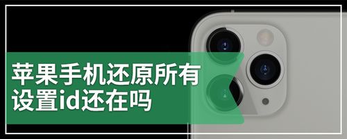 苹果还原所有设置id还会在吗图标