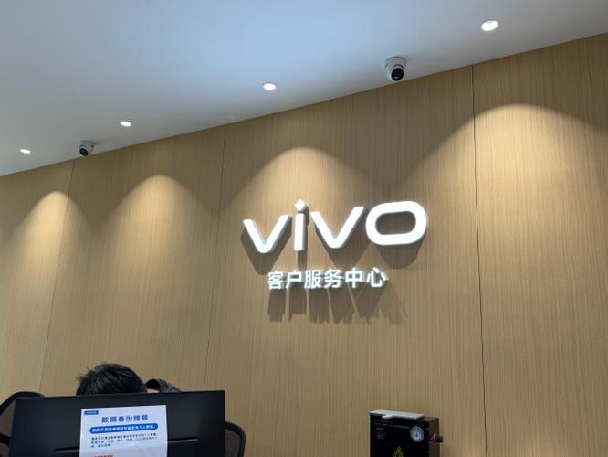 vivo官网网站服务游戏截图