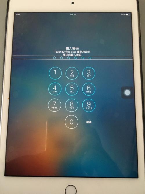 ipad默认开机密码游戏截图