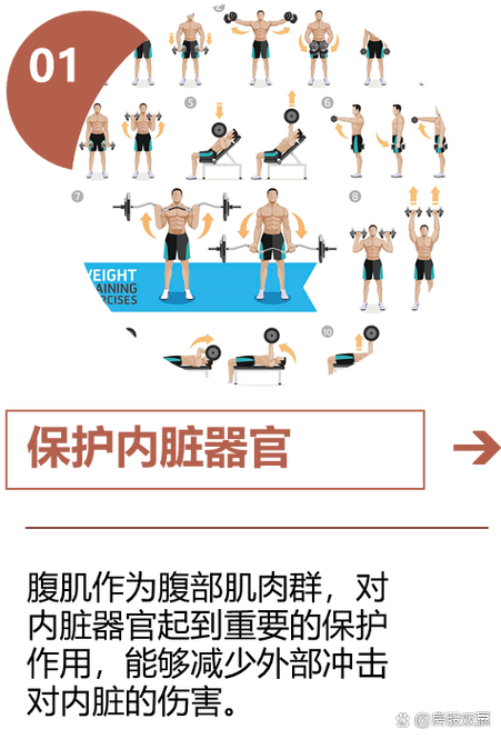 健身腹肌训练教程缩略图