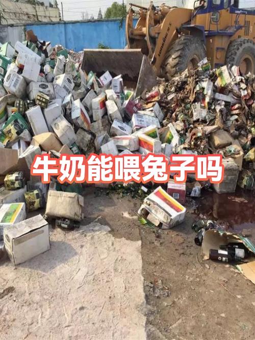 兔子喝牛奶会死吗缩略图