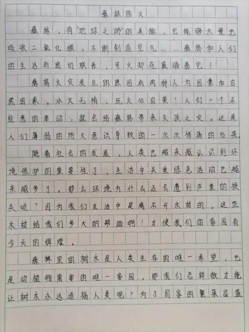 作文免费可抄600字缩略图