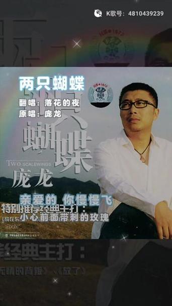 两只蝴蝶的原唱游戏截图