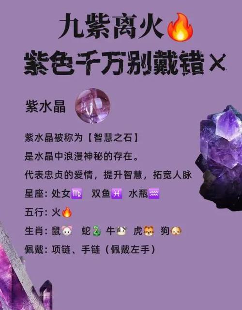 紫色的紫在五行中属什么缩略图
