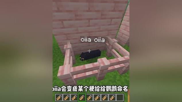 我的世界命名牌彩蛋游戏截图