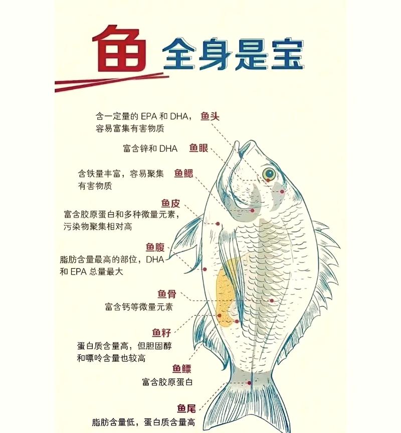 鱼肉切开有红色是什么缩略图
