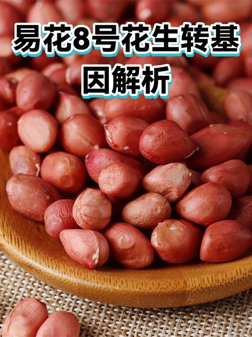 花生转是什么平台缩略图