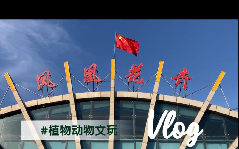 唐山最大花卉批发缩略图