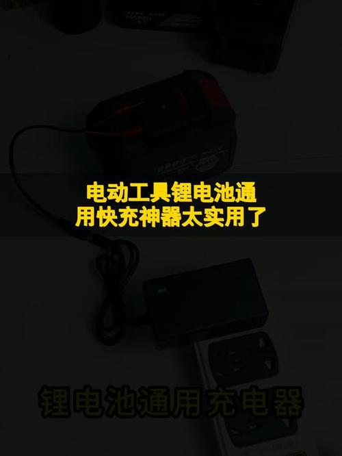 电动车锂电池低压充不进电游戏截图
