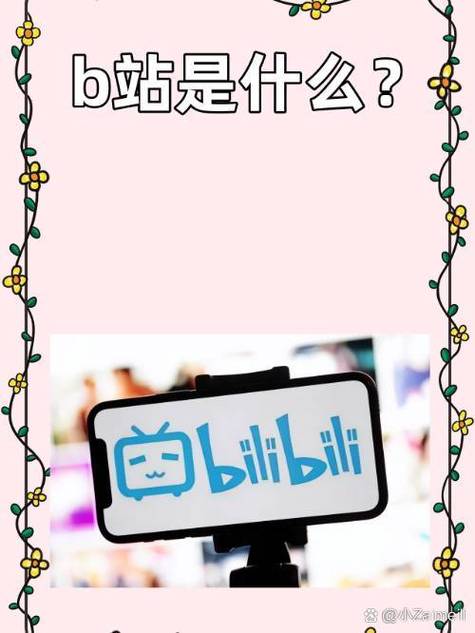 b站是什么意思啊缩略图