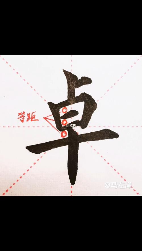 pi安卓下载缩略图